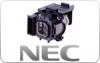 Nec